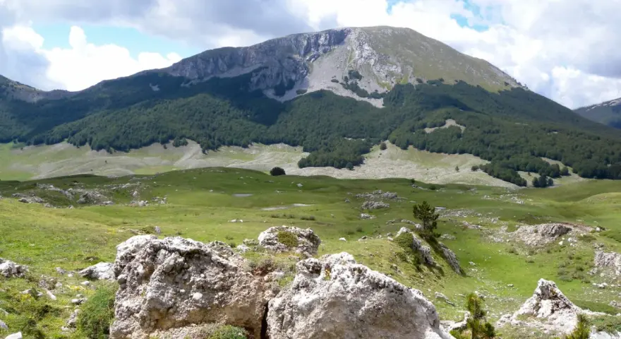 Vaste praterie verdi e rocce bianche nel **Parco Nazionale del Pollino**, con una foresta scura che sale verso un monte imponente sotto un cielo nuvoloso.