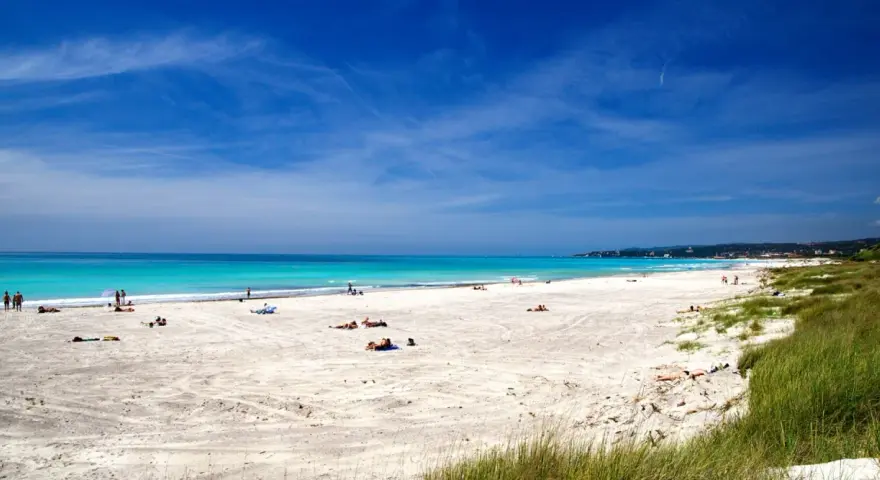 Vada white beach, con sabbia chiara e mare turchese, bagnanti rilassati sotto il sole.