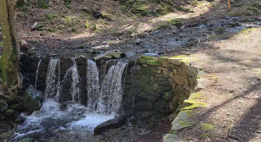Cascata artificiale nella foresta di Vallombrosa, con un sentiero ghiaioso e alberi muschiosi.