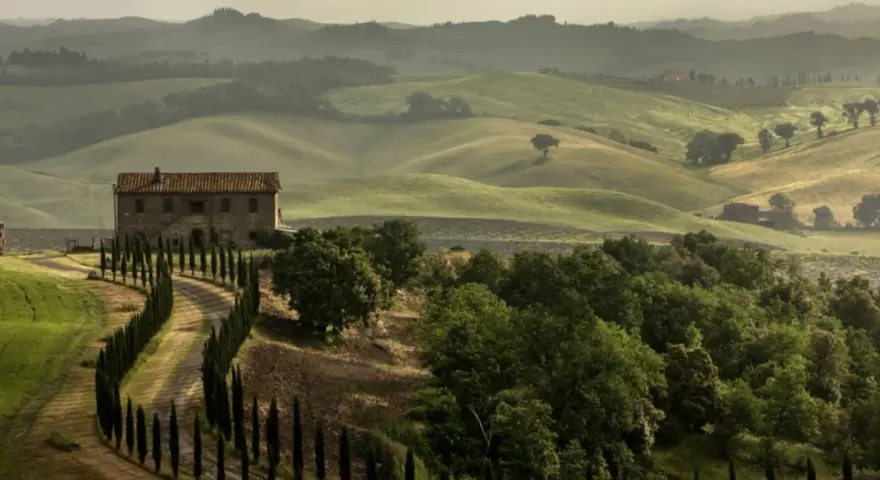 Un casale in pietra con un viale di cipressi si staglia sulle dolci colline del Val di Merse, avvolte da una leggera foschia mattutina.