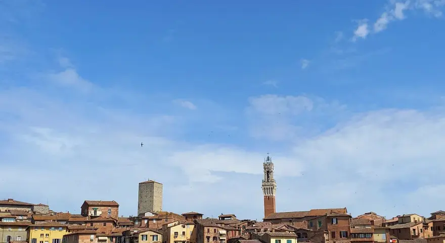 Panoramica di Siena con la Torre del Mangia che svetta tra i tetti rossi, sotto un cielo azzurro con nuvole bianche.