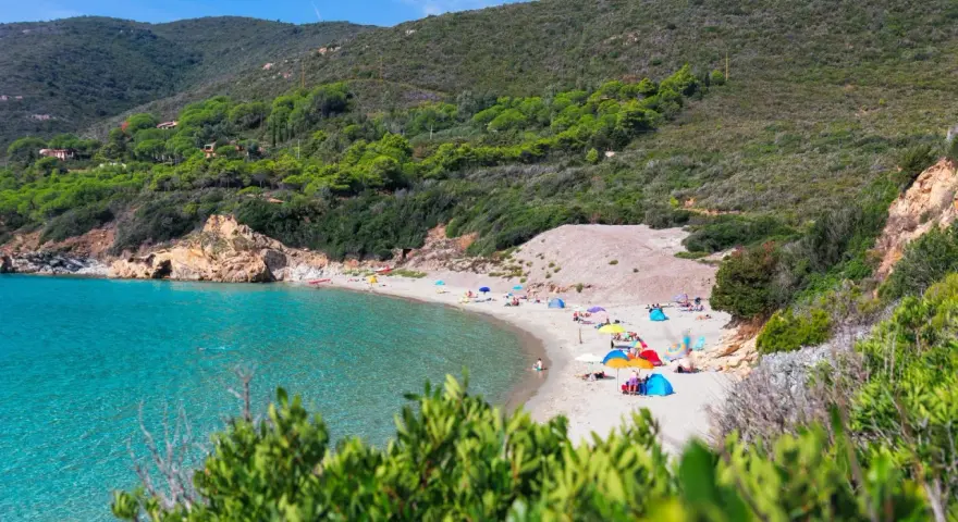 Una baia con acque cristalline e **spiagge** dell'Isola d'Elba, con ombrelloni colorati e gente che si rilassa sulla sabbia dorata.
