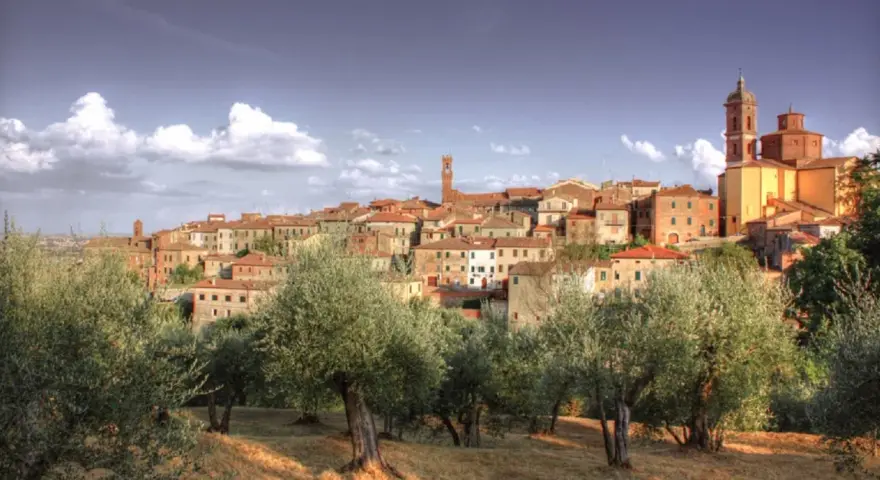 Il centro storico di Sinalunga si staglia su una collina, circondato da ulivi secolari sotto un cielo azzurro con nuvole bianche.