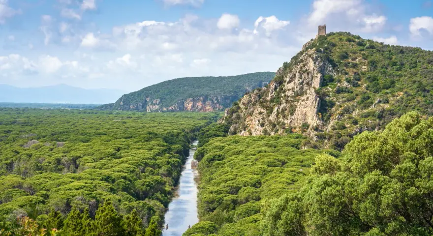 Un fiume serpeggia tra la fitta vegetazione del Parco dell'Uccellina, con una torre antica che domina la collina rocciosa.