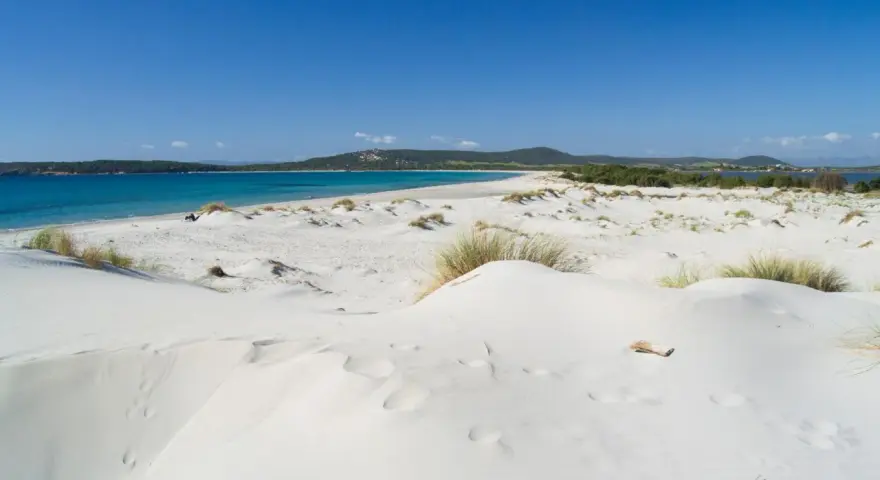 Dune di sabbia bianca e mare turchese ad Ansedonia. Un paesaggio da sogno, con vegetazione sparsa e un cielo azzurro intenso.