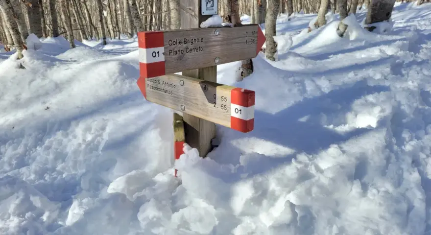Segnavia nel bosco di Sant'Antonio, coperto di neve. Indica Colle Brignole e Pescocostanzo.