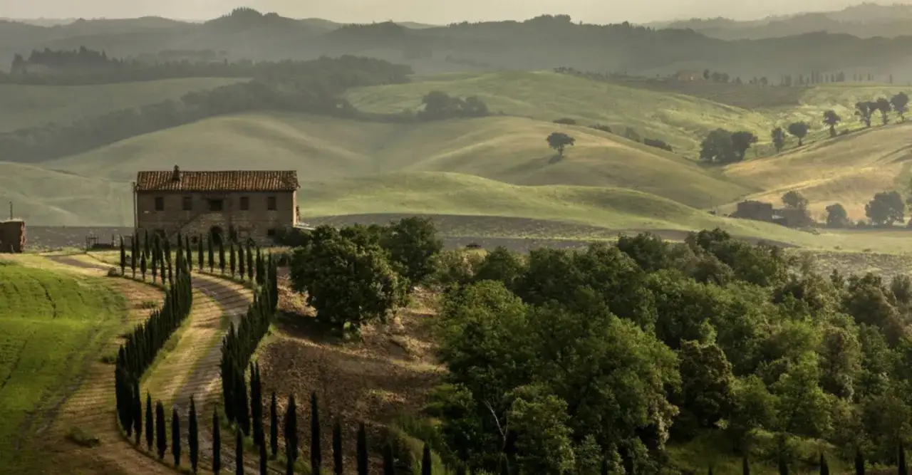 Un casale in pietra con un viale di cipressi conduce attraverso le dolci colline del Val di Merse, avvolte da una leggera foschia mattutina.