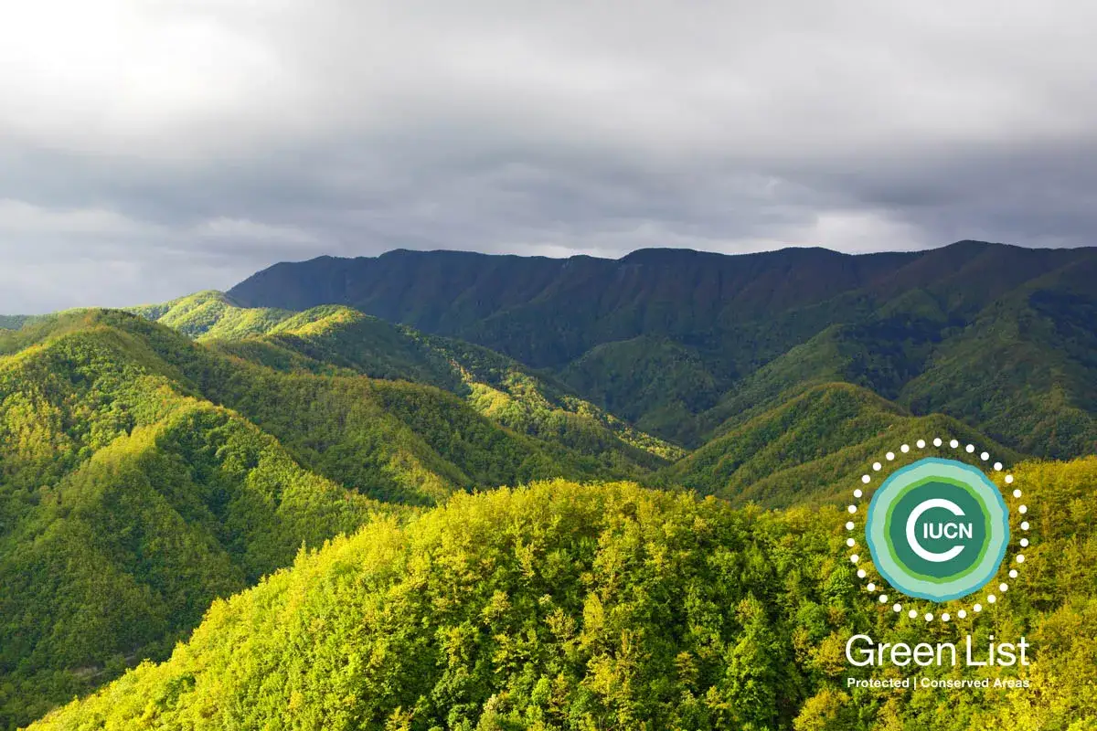 Verdi colline ondulate delle foreste casentinesi, dove si trovano aree protette e conservate, sotto un cielo nuvoloso.