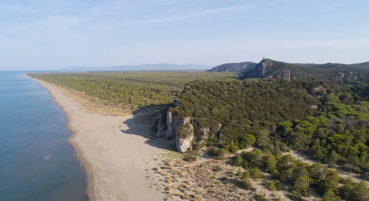 Costa selvaggia e pineta nel Parco Regionale della Maremma, con torri antiche che svettano tra le colline.