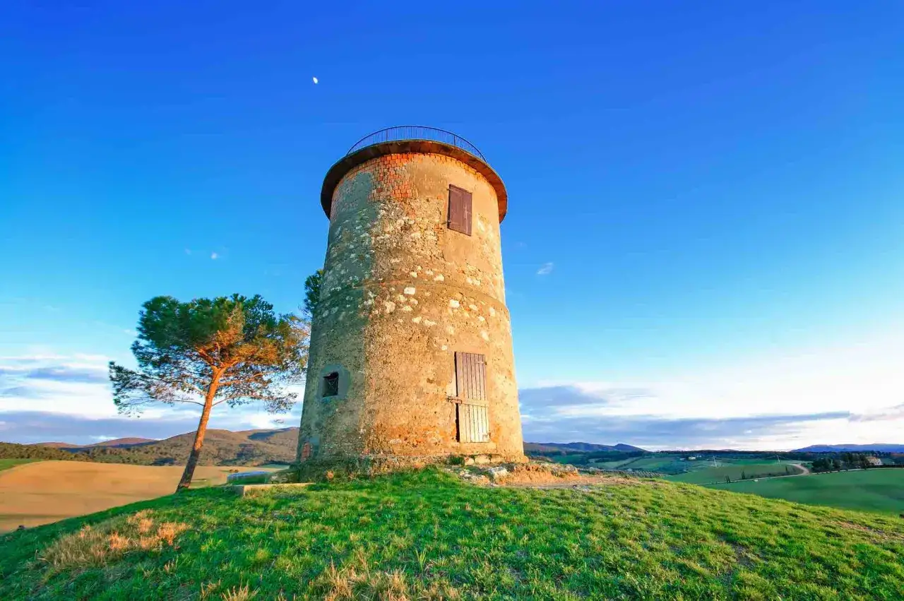 Torre in pietra su una collina erbosa, con un pino solitario. Paesaggio tipico delle colline metallifere, con dolci rilievi sotto un cielo azzurro.