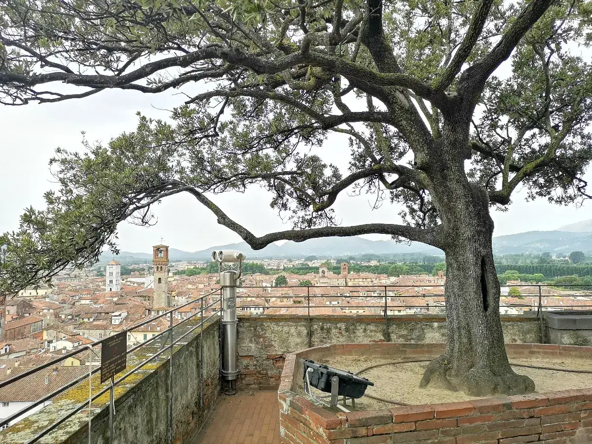 Vista panoramica di Lucca con la torre Guinigi e il suo albero secolare, sotto un cielo nuvoloso.