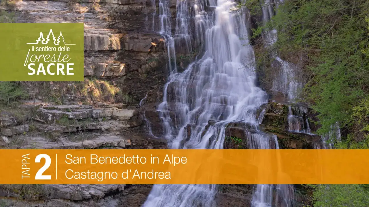 Cascata nel Parco Nazionale delle Foreste Casentinesi Monte Falterona e Campigna. Tappa 2: San Benedetto in Alpe, Castagno d'Andrea.