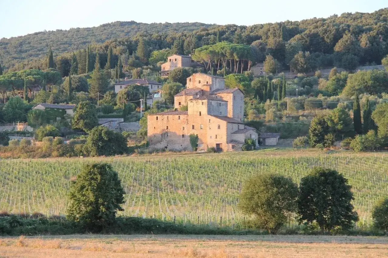 Antico borgo in collina, con vigneti e uliveti. Il sovicille centro storico si staglia tra il verde, con case in pietra e cipressi.