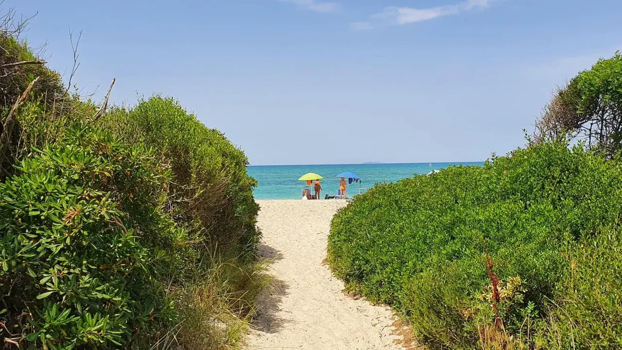 Sentiero sabbioso tra la vegetazione verso le spiagge bianche di Marina di Cecina. Due ombrelloni colorati e persone godono del mare cristallino.