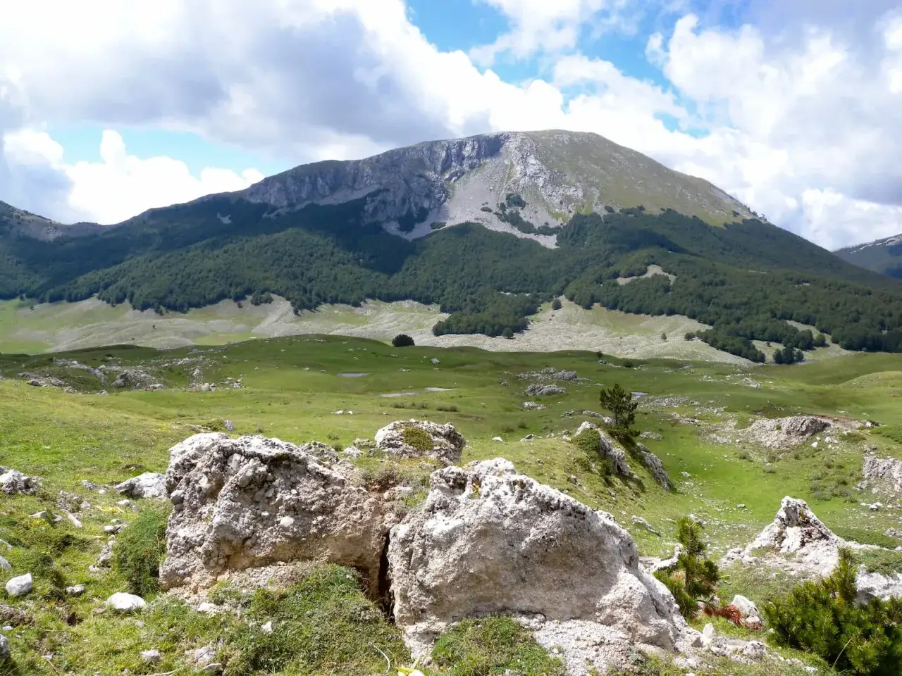 Vaste distese verdi e rocce bianche nel Parco Nazionale del Pollino, con un imponente monte boscoso sullo sfondo sotto un cielo nuvoloso.