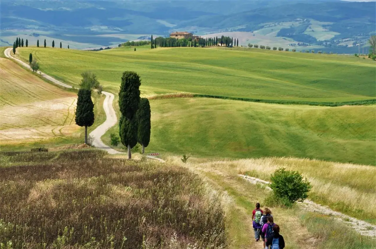 Un gruppo di escursionisti percorre una strada sterrata nella Val d'Orcia, tra dolci colline verdi e cipressi iconici.
