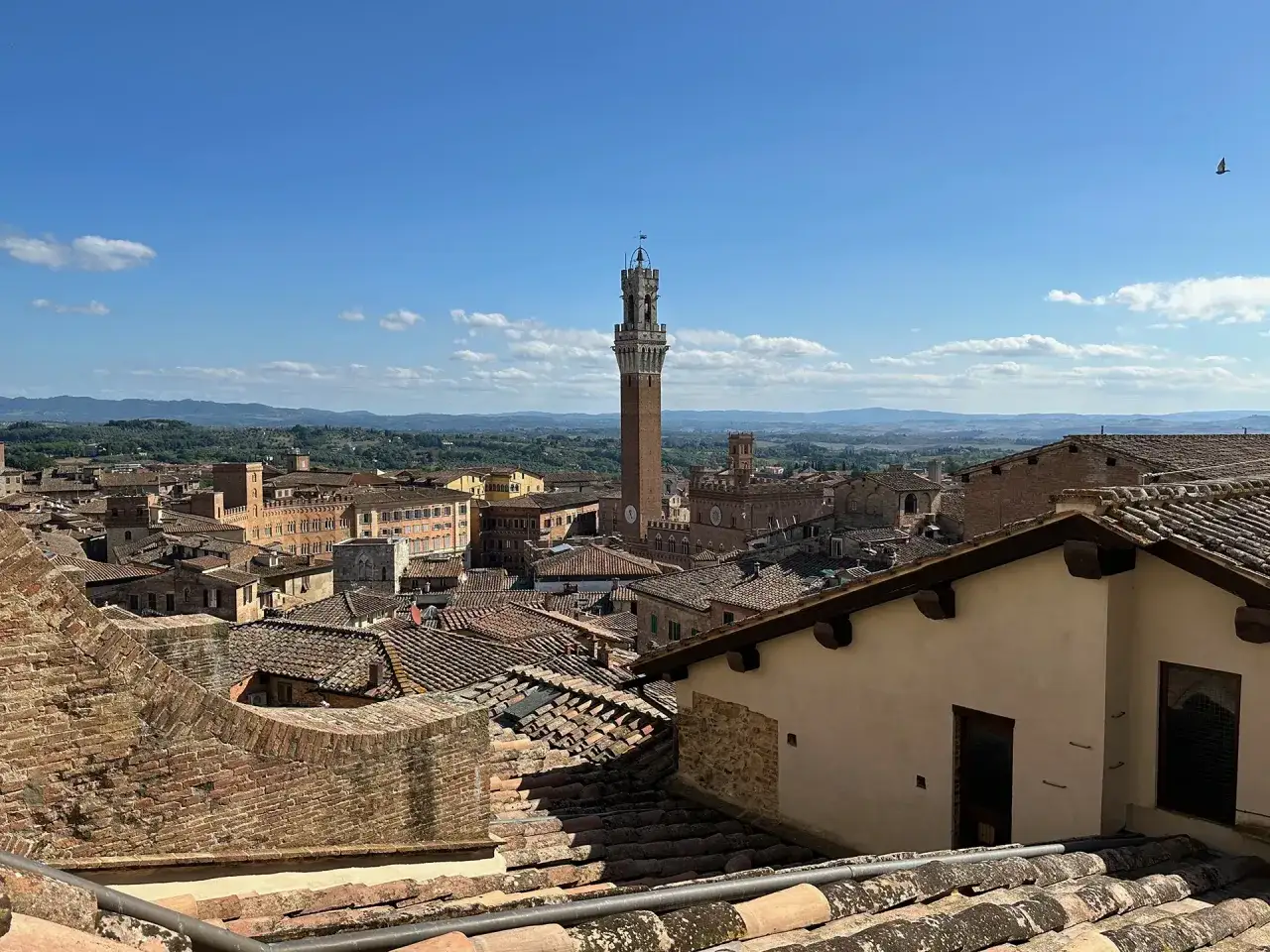 Vista panoramica di Siena con la torre del Mangia che svetta tra i tetti di tegole rosse sotto un cielo azzurro.