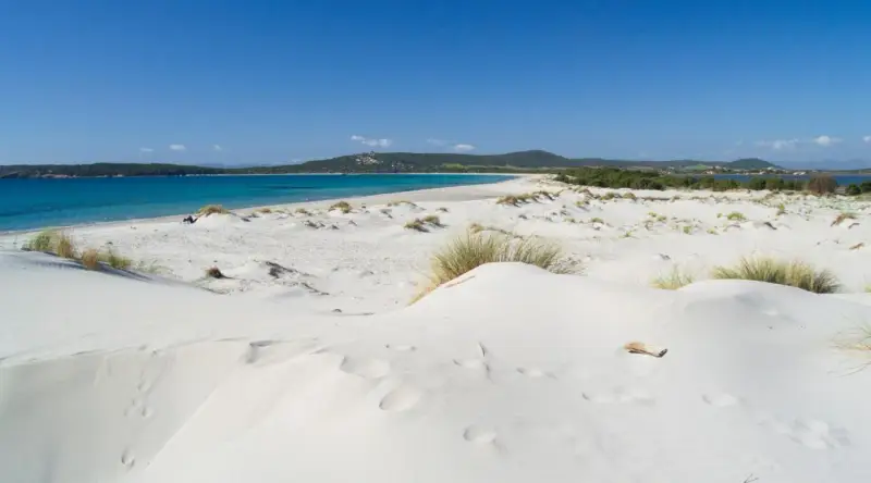 Dune di sabbia bianca e mare turchese ad Ansedonia. Un paesaggio da sogno, con vegetazione sparsa e un cielo azzurro intenso.